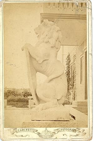 Cabinet Fotografi, Statue de lion