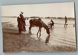 Egypte, Louqsor (      ), Scène à la rivière