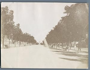 Tunisie, Tunis (    ), Avenue de la Marine (Jules Ferry)