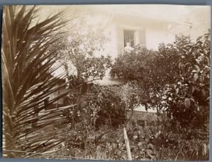 Algérie, Philippeville (Skikda       ), Maison et jardin de la famille Bernardi