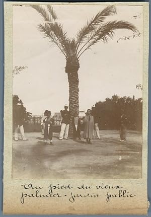 Tunisie, Tunis (    ), Jardin Public de Tunis. Au pied du vieux palmier