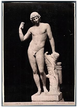 Sommer, Italia, Napoli, Museo di Napoli. Statua di Adone