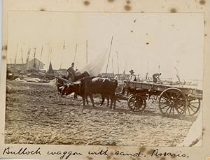 Argentine, Argentina, Rosario, Bullock wagon with sand