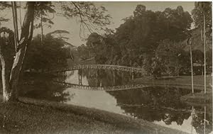 Malaisie, wooden bridge