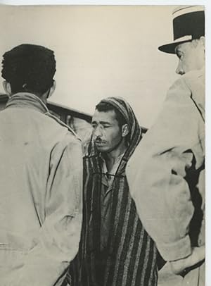 Guerre d'Algérie, mars 1959, Ali Hambli se rallie à la France