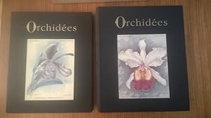 Orchidées. Dictionnaire iconographique