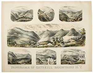 Panorama of Catskill Mountains N. Y.