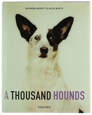 A THOUSAND HOUNDS - Tausend Hunde - Un millier de chiens.: