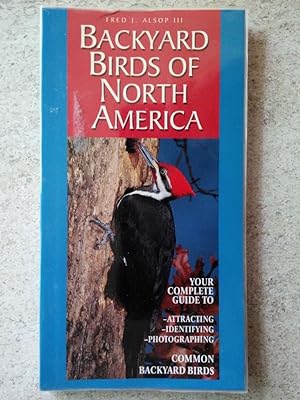 Backyard Birds of North America