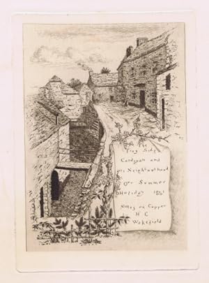 Tivy Side, Cardigan, Wales 1881. (22 engravings)