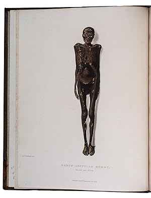 A history of Egyptian mummies, and an account of the worship and embalming of the sacred animals ...