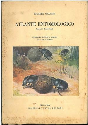 Atlante entomologico (esclusi i lepidotteri)