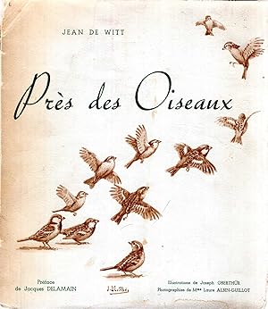Pres Des Oiseaux