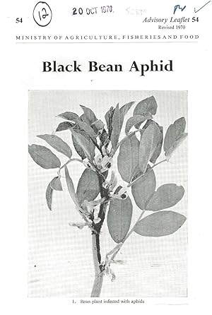 Black Bean Aphid. Advisory Leaflet No. 54.