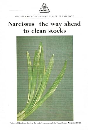 Narcissus - The Way Ahead to Clean Stocks. Awareness Leaflet Hort. 1.
