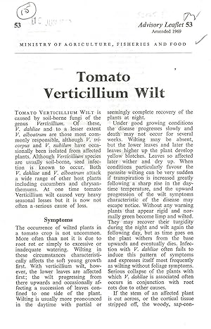Tomato Verticillium Wilt. Advisory Leaflet No. 53.