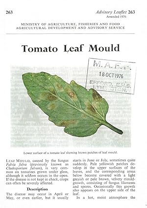 Tomato Leaf Mould. Advisory Leaflet No. 263.