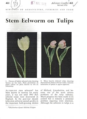 Stem Eelworm on Tulips. Advisory Leaflet No. 461.