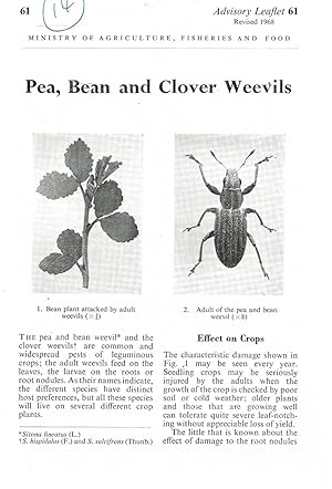 Pea, Bean and Clover Weevils. Advisory Leaflet No. 61.