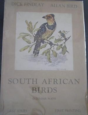First Folio of South African Birds - 12 Colour Plates
