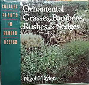 Ornamental Grasses, Bamboos, Rushes & Sedges (Foliage Plants in Garden Design)