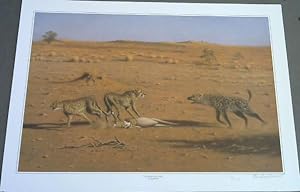 Wild Life Prints : Vic Andrews : "Dangerous Moment", "A Welcome for The Hunter", "Two Cheetahs Lo...