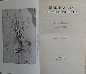 Bird Haunts in Wild Britain