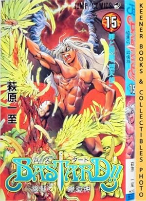 Bastard!!, Heavy Metal - Dark Fantasy, Vol. 15 / Basutado!! Ankoku no Hakaishin: Crimes and Punis...