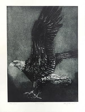 Bald Eagle [Original Print]