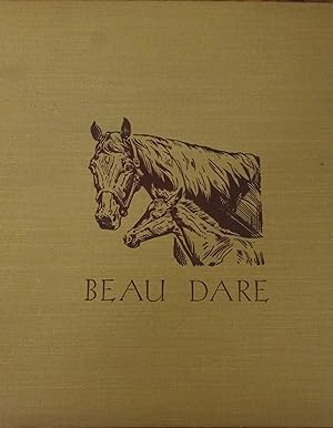 Beau Dare : American Saddle Colt