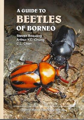A Guide to the Beetles of Borneo