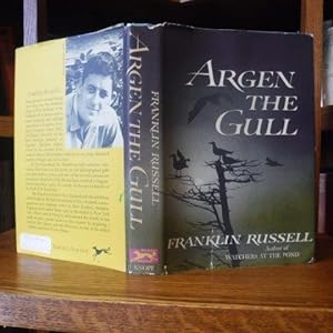 Argen the Gull