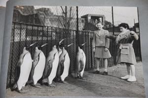 Album of Animal Photographs, Circa 1930