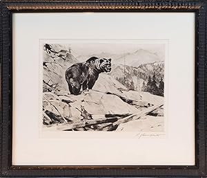 ORIGINAL ETCHING GRIZZLY BEAR