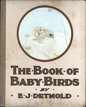 Book of Baby Birds