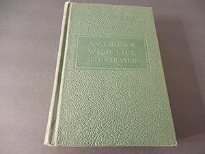 American Wild Life Illustrated by Wm H Wise- 1947 Print