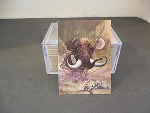 Complete Set 90 Art Suydam Fantasy Art Cards NM