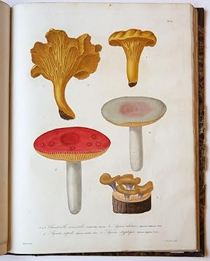 Histoire des champignons comestibles et vénéneux, ornée de figures coloriées représentant les pri...