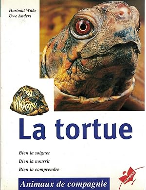 La tortue