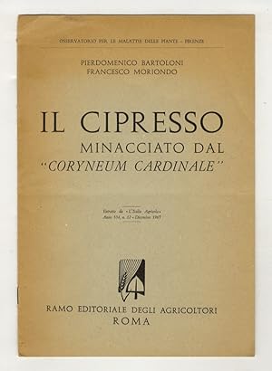 Il Cipresso minacciato dal "Coryneum cardinale".