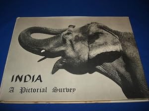 INDIA. A Pictorial Survey