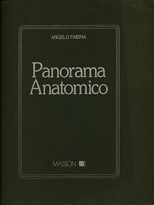 Panorama anatomico