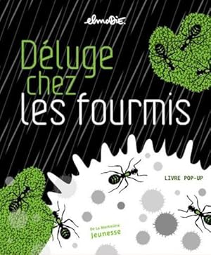 déluge chez les fourmis