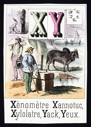 Antique Print-FRENCH ALPHABET-LETTER X AND Y-YAK-EYES-1850