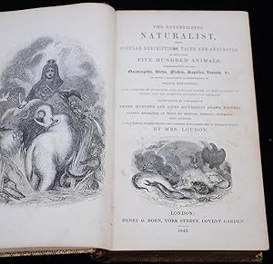 Antique Book-ENTERTAINING NATURALIST-ANIMAL-WOODENGRAVING-Bewick-Loudon-1843