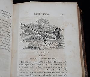 Antique Book-WOOD ENGRAVING-HISTORY OF BRITISH BIRDS-Bewick-1809, second edition