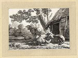 Antique Master Print-SHEEP-STABLE-BARN-Ploos van Amstel/Brouwer-Dujardin-1781