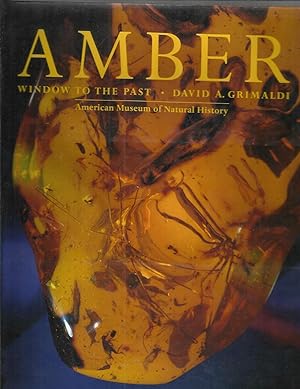 AMBER: Window To The Past