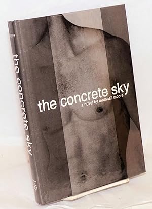 The Concrete Sky a novel