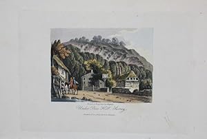 A Single Original Miniature Antique Hand Coloured Aquatint Engraving By J Hassell Illustrating Un...